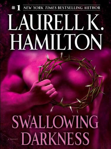 Swallowing Darkness: A Novel