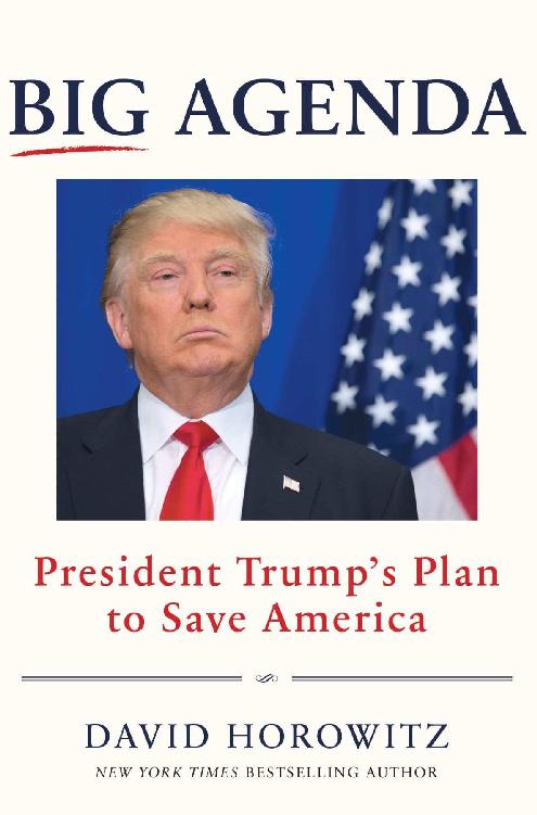 Big Agenda: President Trump's Plan to Save America